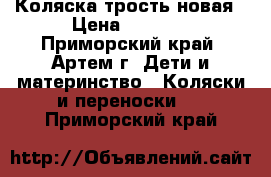 Коляска трость новая › Цена ­ 1 500 - Приморский край, Артем г. Дети и материнство » Коляски и переноски   . Приморский край